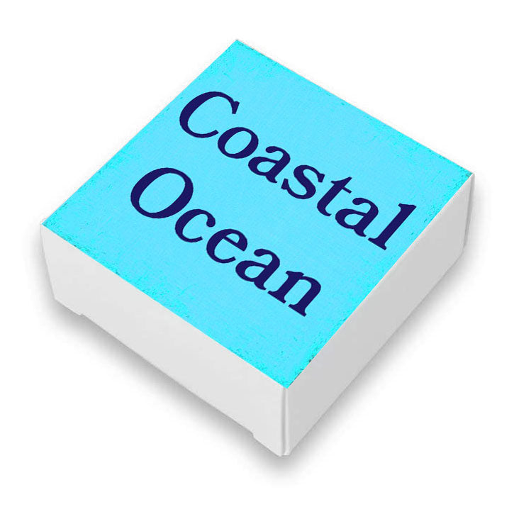 The Hamptons Man Coastal Ocean Soap Bar-Vegan Mango Butter Soap